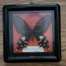 Early 1970 framed for sale  Fairport