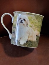 Leonardo bone china for sale  EXETER