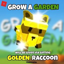 Golden raccoon racoon d'occasion  Saint-Priest