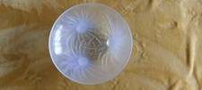 Coupe verre opalescent d'occasion  Roquebrune-Cap-Martin