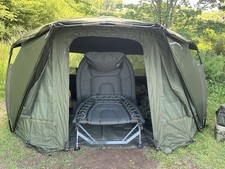 wels catfish for sale wels catfish for sale BRIXHAM