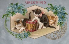 Adorable cats kittens for sale  Moorpark