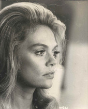 Dyan cannon portrait for sale  SOLIHULL