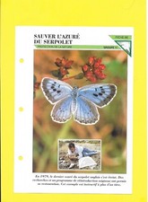 Fiche sauver azuré d'occasion  Nancy-