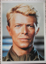 David bowie film usato  Torino