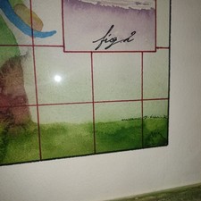 Acquarello guido biasi usato  Castelletto Sopra Ticino