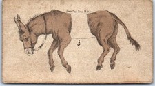 Chromo the horse d'occasion  Expédié en Belgium