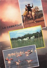 Camargue gardian artesienne d'occasion  France