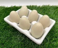 White half dozen for sale  Tooele