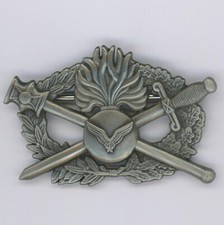 Brevet pilote hélicoptère d'occasion  La Queue-les-Yvelines