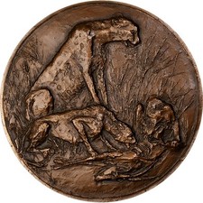 Médaille animaux guépard d'occasion  Lille-