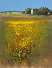 Paesaggio agostino cancogni usato  Taranto