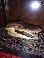 Small sized real for sale  Detroit