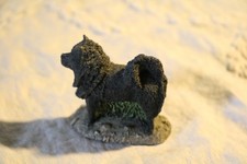 chow chow for sale  Oshkosh