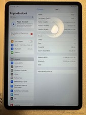 Apple ipad pro usato  Barletta