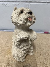 Westie west highland for sale  CLACTON-ON-SEA
