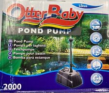 Lotus otter baby for sale  SUTTON COLDFIELD