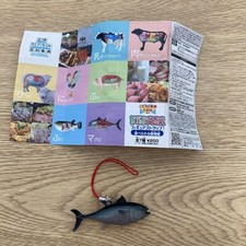 Cápsula tridimensional enciclopédia Nakami Marumie alça de atum peixe 2008, usado comprar usado  Enviando para Brazil