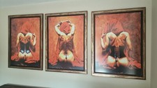 Three framed prints for sale  CHELMSFORD