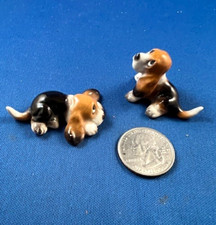 puppy hound basset for sale puppy hound basset for sale Fair Oaks
