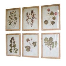 Farmhouse botanical set for sale  USA