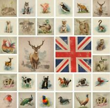 Animal country creature for sale  WEST BROMWICH