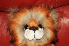 kaycee bears for sale kaycee bears for sale GRIMSBY
