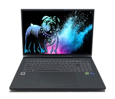 Captiva ultimate gaming gebraucht kaufen  Magdeburg