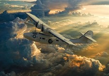 Catalina pbya duxford for sale  SPALDING
