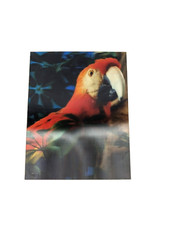 Parrot tropical animal for sale  Venice