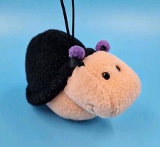 Steinbeck schnecke schwarz gebraucht kaufen  Verl
