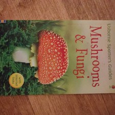Mushrooms funghi richard for sale  MELTON MOWBRAY
