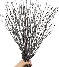 30pcs real dried for sale  Brentwood