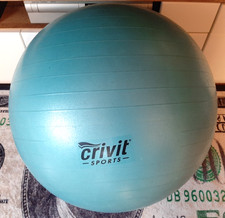 Gymnastikball crivit sports gebraucht kaufen  Hohenwestedt