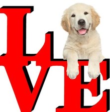 Golden retriever puppy for sale  Pottstown