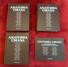 Libri anatomia umana usato  La Spezia