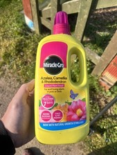 Miracle gro azalea for sale  WORKSOP