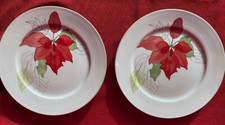 Speiseteller weihnachtsstern d gebraucht kaufen  Hattersheim