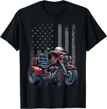Wheels motorcycle trike for sale  Carroll