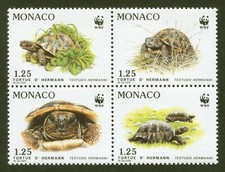 Monaco 1781a wwf for sale  Longmont