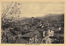 Cartolina peveragno cuneo usato  Bologna