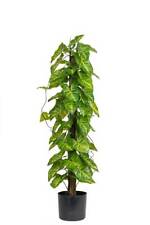 Feuillage hosta artificiel d'occasion  France