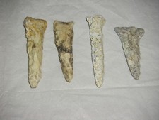 Early indian drill for sale  Bradenton