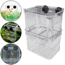 Aquarium fish breeding for sale  YORK