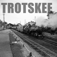 Larger negatives rhdr for sale  HIGH WYCOMBE