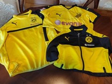 Borussia dortmund bvb gebraucht kaufen  Ebeleben