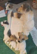 Imports jack russell for sale  Youngstown