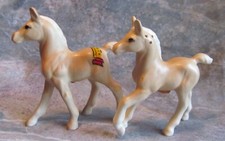 Enesco palomino foals for sale  Winchester