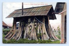 Cedar stump house for sale  Bremerton
