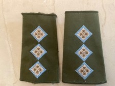 Parachute regiment captains for sale  TOWCESTER